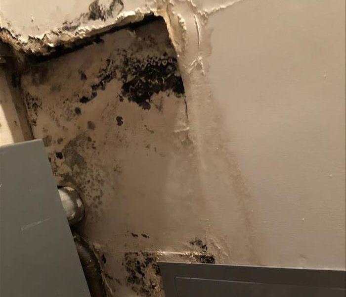 Mould growth on wet Electrical Room